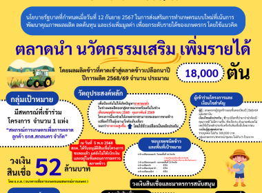 อินโฟกราฟิก ปี 2569 พารามิเตอร์รูปภาพ 4